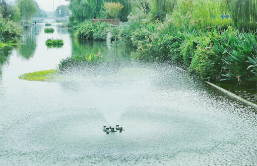 南京康居三河水环境生态修复项目