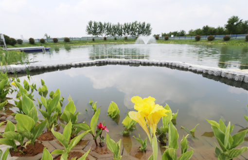 全面构建高品质水生态环境丨肥西县官亭镇尾水提标改造项目