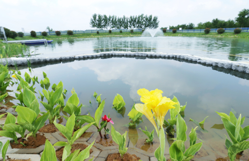 全面构建高品质水生态环境丨肥西县官亭镇尾水提标改造项目